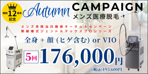 美容皮膚科アイエスクリニック六本木・乃木坂 メンズ医療脱毛 176,000円